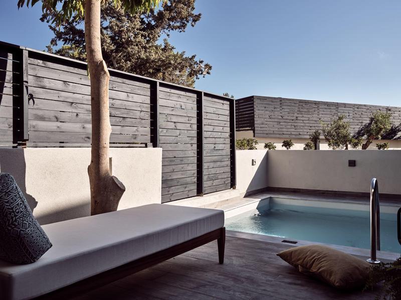 Moderner Außenbereich mit kleinem Pool, Liege, Holzzaun und Baum unter klarem Himmel.