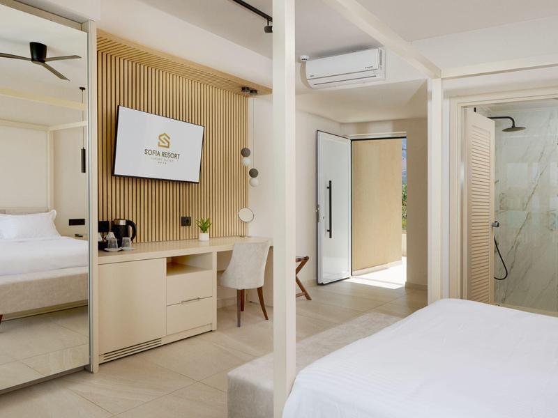 Bright hotel room with double bed, TV, desk, and modern shower area.