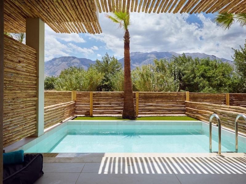 Modern pool area with mountain and palm tree views in a sunny setting.