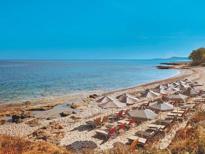 Strand mit Reihen von weißen Sonnenschirmen und roten Liegestühlen am ruhigen, blauen Meer.