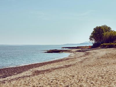 Una playa de arena tranquila con cielo despejado y árboles a lo largo de la costa.