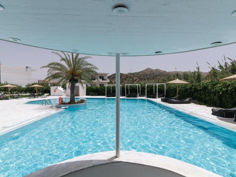 Groot zwembad met helder water, palmbomen en ligbedden onder een blauwe lucht.