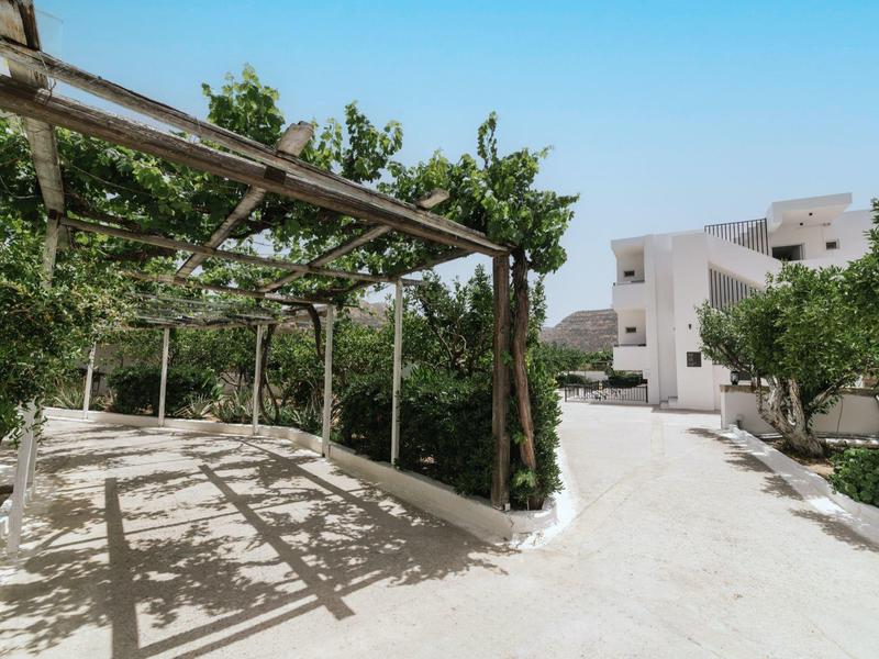 Zonnig terras met pergola omgeven door groen naast een modern wit gebouw.