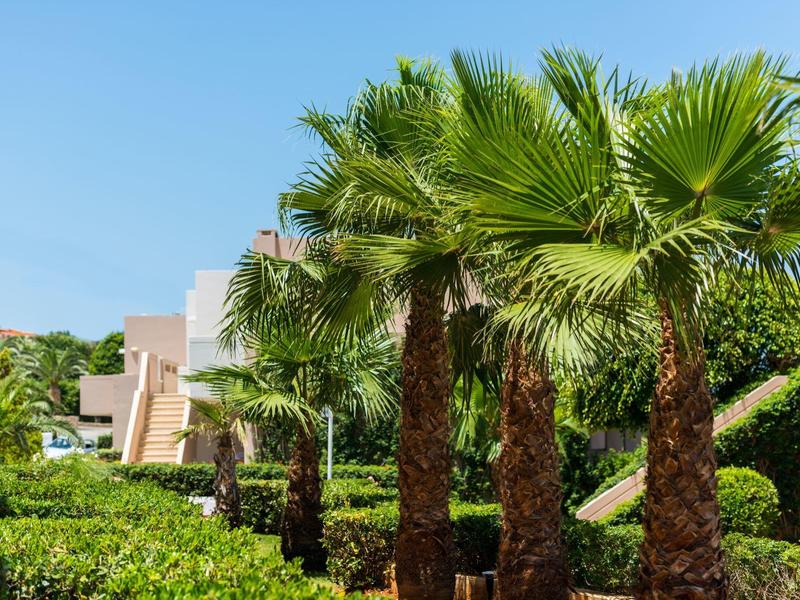 Palmeras alineadas frente a un edificio moderno bajo un cielo azul despejado.
