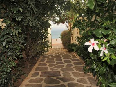 Sentiero di pietra circondato da cespugli verdi conduce a una vista sul mare.