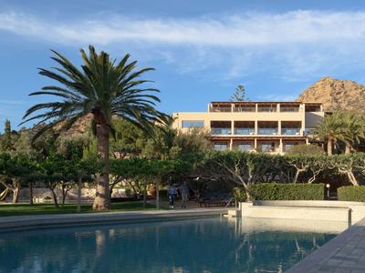 Hotel con piscina davanti a una palma e cielo limpido sullo sfondo.