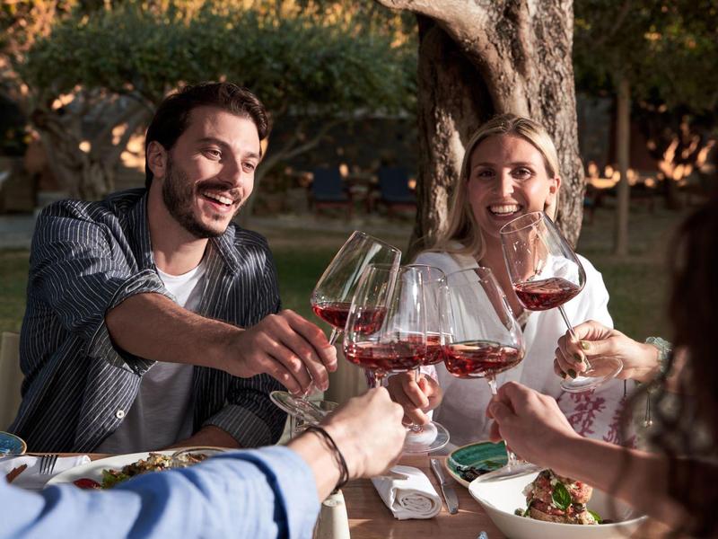 Amici brindano con vino rosso all'aperto sotto un albero.