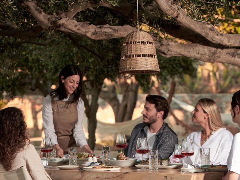 Un gruppo che gode di un pasto all'aperto sotto un albero.