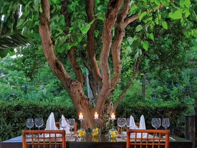 Accogliente tavolo da pranzo all'aperto sotto un albero con bicchieri da vino e acqua.