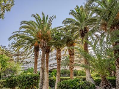 Grüne Gartenanlage mit hohen Palmen und einem mehrstöckigen Hotelgebäude im Hintergrund.