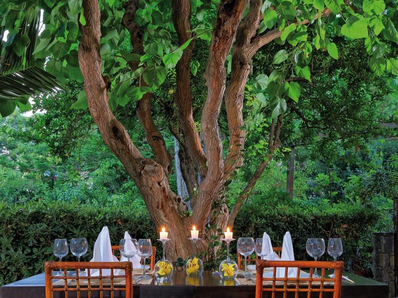 Elegantní venkovní jídelní stůl pod velkým stromem obklopený bujnou zelení.