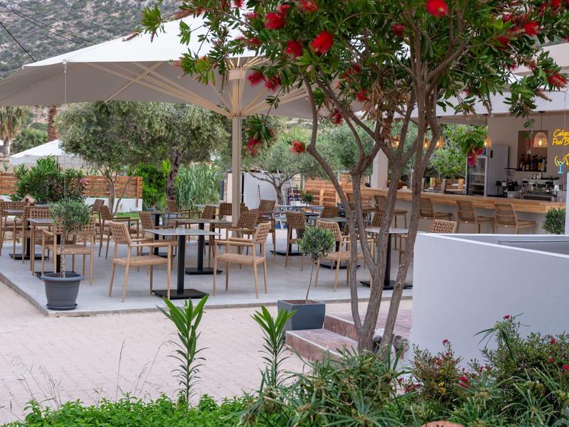 Hotel outdoor terrace with tables, chairs, and umbrellas under green trees.