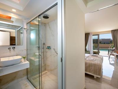 Camera d'albergo moderna con bagno separato, doccia e vista sul paesaggio.