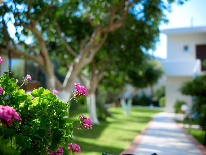 Pad door een zonnige tuin met bloeiende roze bloemen en bomen naast een hotelgebouw.