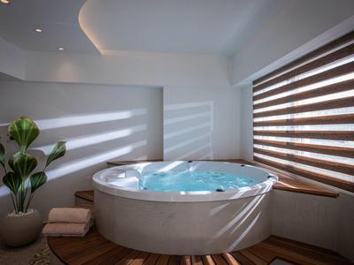 Vasca idromassaggio moderna in stanza luminosa con grande pianta e tende alle finestre.