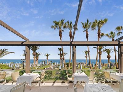 Terraza con mesas y sillas, palmeras y vista a la playa y el mar bajo un cielo despejado.