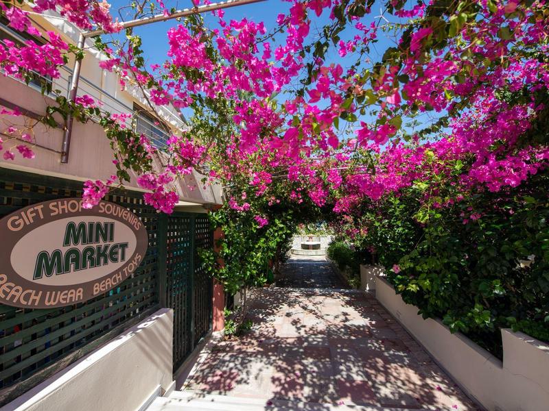 Ein blühender Bougainvillea-Bogen überspannt einen sonnigen, schattigen Pfad neben einem Markt.