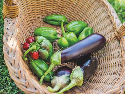 Un cestino con verdure fresche come melanzane, peperoni e pomodori sull'erba.