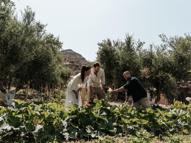Tre persone raccolgono verdure in un giardino rigoglioso sotto un cielo limpido.