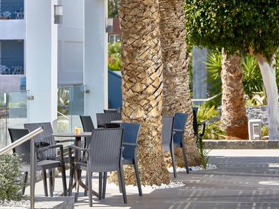Terrazza esterna vuota con sedie e tavoli lungo una fila di alberi al sole.
