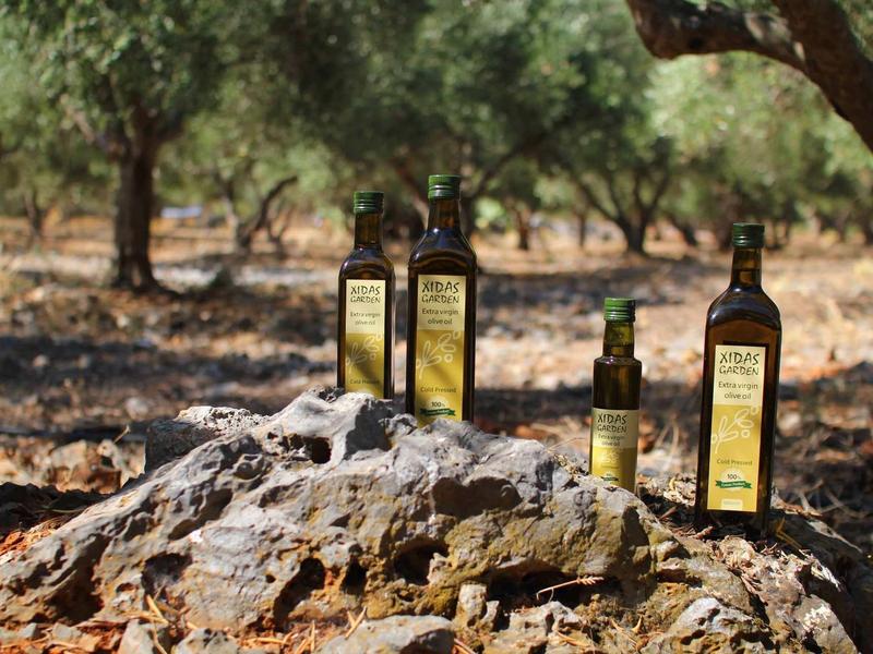 Quatre bouteilles d'huile d'olive sont posées sur un rocher dans un oliveraie avec des arbres en arrière-plan.