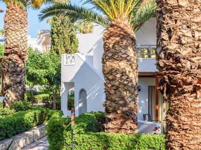 Edificio bianco circondato da palme e piante verdi in una giornata di sole