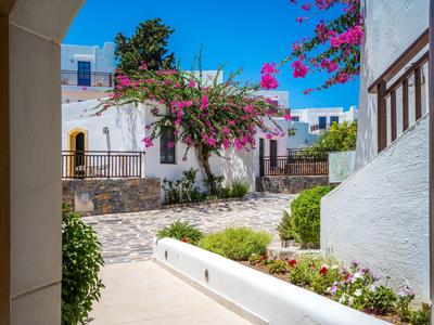 Une cour ensoleillée avec des bâtiments blanchis à la chaux, des fleurs et un mur en pierre.