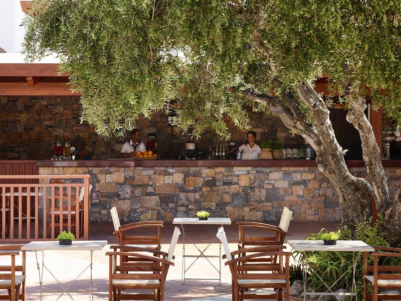Bar extérieure conviviale avec comptoir en pierre et meubles en bois sous un grand arbre.