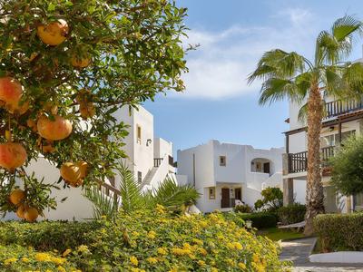 Bílá hotelová budova obklopená palmami, květinami a pomerančovníky pod slunnou oblohou.