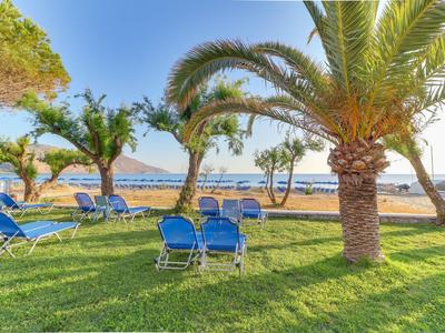 Giardino verde con palme e sedie a sdraio blu vicino al mare con tempo soleggiato.