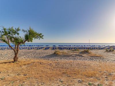 Písčitá pláž s ojedinělými stromy a řadami slunečníků u klidného moře.
