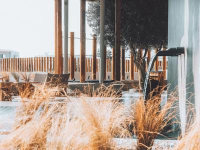 Ein moderner Außenbereich mit Trockenpflanzen und einem Baum vor einer Hauswand.