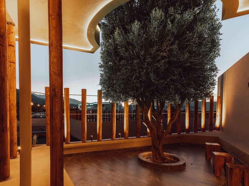 Área exterior moderna con árbol, columnas de madera y asientos bajo techo curvo al atardecer.