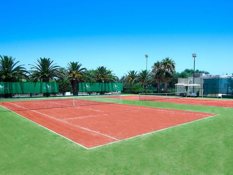 Freiluft-Tennisplatz mit rotem Sand und grünem Rand, umgeben von Palmen und blauem Himmel.