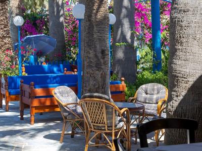 Cozy seating area with chairs and table in garden under palm trees and colorful flowers.