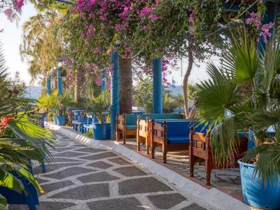 Cozy seating under blooming trees alongside a paved walkway.