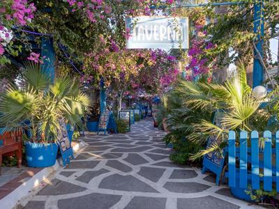Path with geometric pattern surrounded by blooming plants in blue pots and wooden fences.