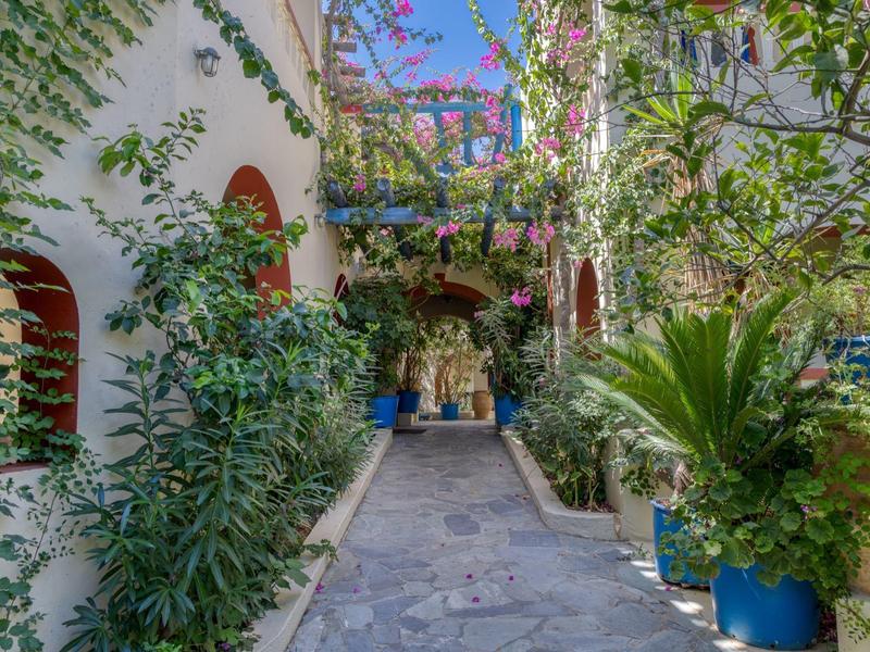 Sentiero in un cortile mediterraneo rigoglioso con muri bianchi e piante fiorite.