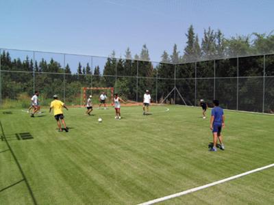 Mehrere Personen spielen auf einem grasbedeckten Sportplatz unter klarem Himmel.