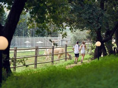 Dva lidé běží podél oploceného prostoru se zvířaty a stromy, večer.