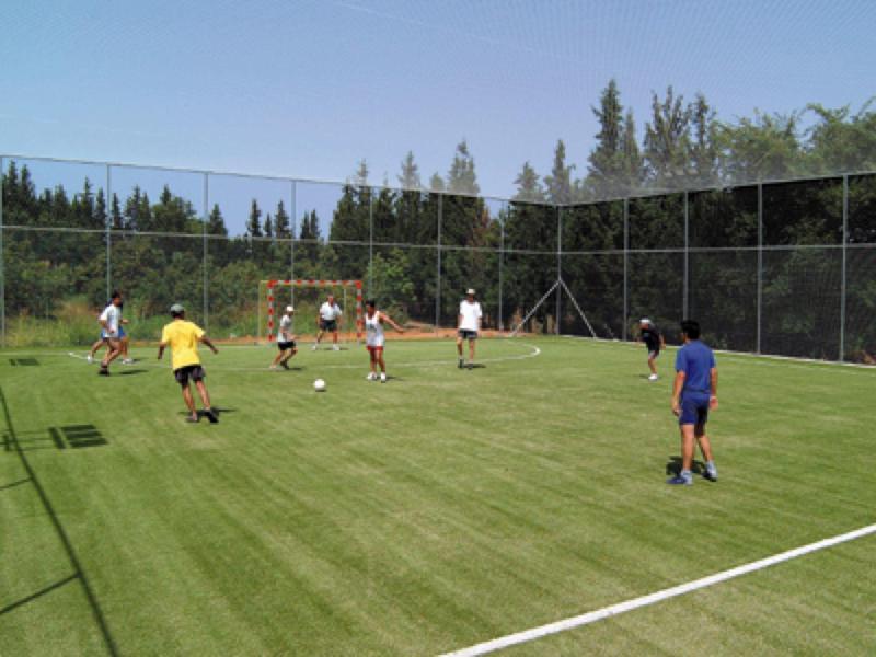 Lidé hrají fotbal na zeleném venkovním hřišti obklopeném stromy a sítí.