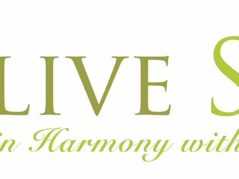 Logo Olive Spa se zeleným kruhem a textem inspirovaným přírodou.