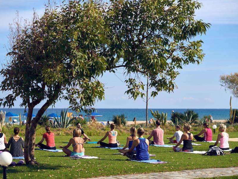 Lidé cvičí jógu venku pod stromy s výhledem na moře.