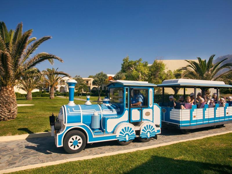 Barevný turistický vlak na cestě v slunném parku s palmami.