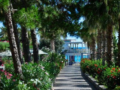 Camino bordeado de palmeras hacia un edificio de hotel con puertas y ventanas azules frente al mar.