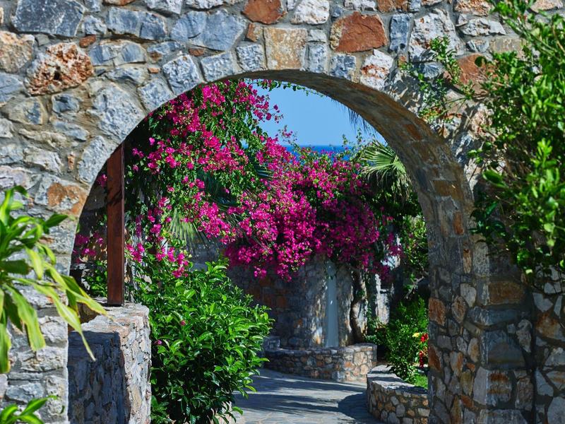 Arco de piedra con exuberante buganvilla y plantas verdes a lo largo de un camino soleado.