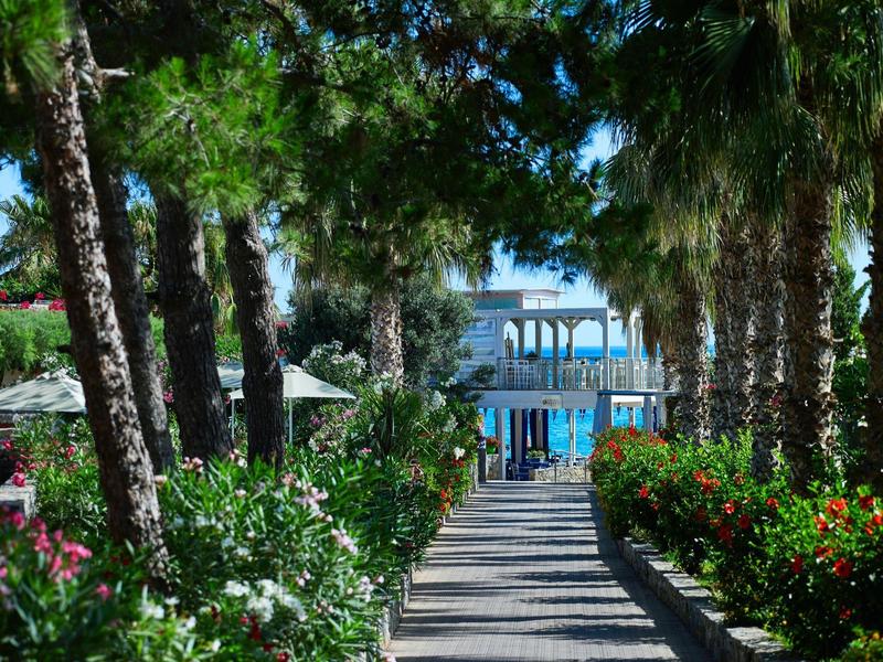 Camino bordeado de palmeras hacia un edificio de hotel con puertas y ventanas azules frente al mar.
