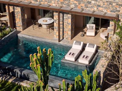 Moderner Pool mit Liegestühlen neben Steinterrasse und Pflanzen.