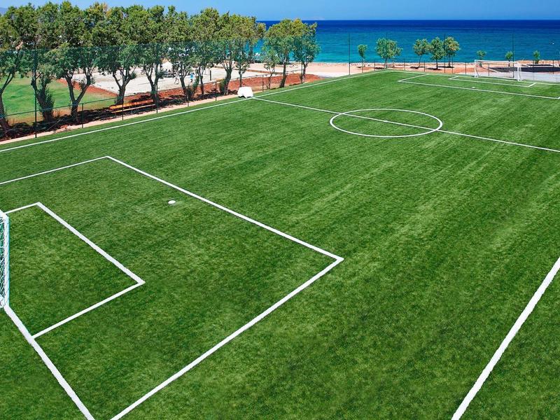 Campo de fútbol junto a la playa con césped verde y mar de fondo.