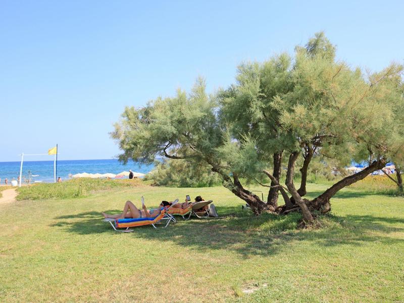 Grupa odpoczywa na leżakach pod zacienionym drzewem nad morzem.